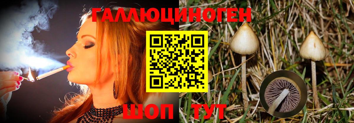 Чебоксары  Псилоцибиновые грибы Magic Shrooms  Вход с VPN  где купить   Псилоцибиновые грибы GOLDEN TEACHER 