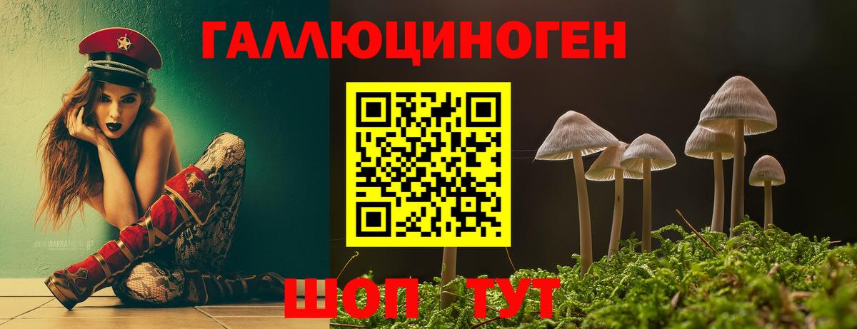 Галлюциногенные грибы прущие грибы Чебоксары